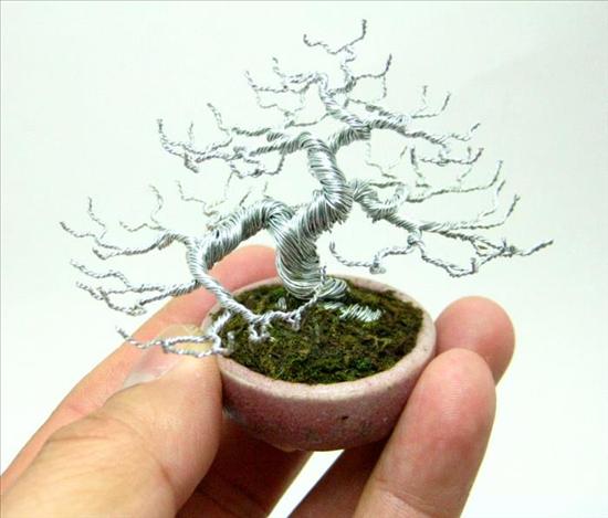 Bonsai, cây cảnh nghệ thuật, cay canh nghe thuat, cây thế, cay the, triển lãm cây cảnh nghệ thuật, trien lam cay canh nghe thuat